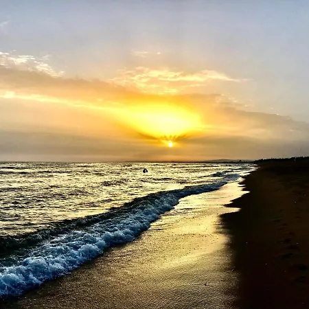 Private Oasis In Algarve With Pool & Fruit Garden لول