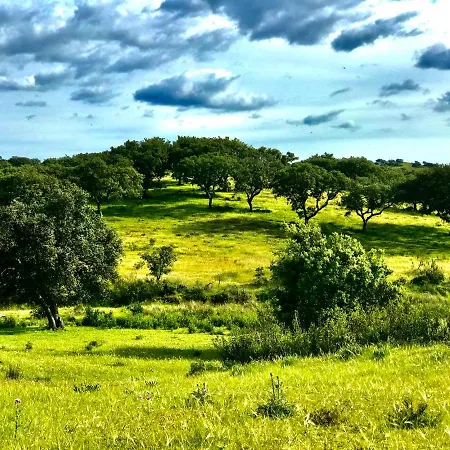 Private Oasis In Algarve With Pool & Fruit Garden