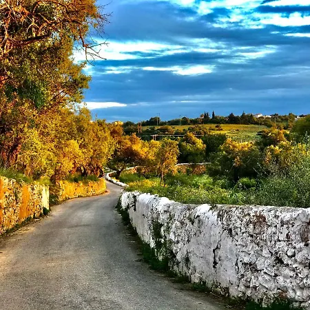 Private Oasis In Algarve With Pool & Fruit Garden 빌라 *